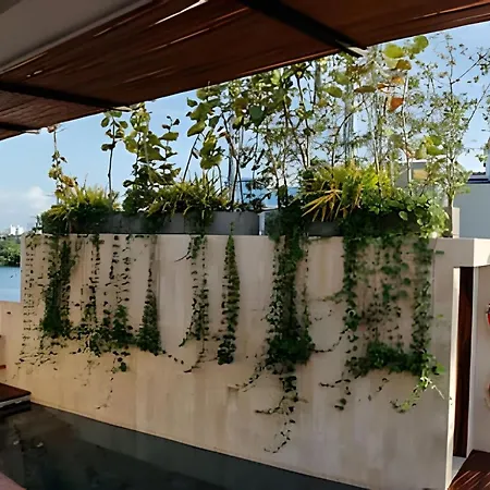 Apartment Relaxing New W/ Balcony In Getsemani! *